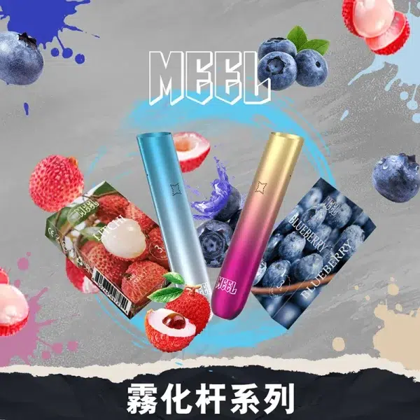 MEEL一代主機